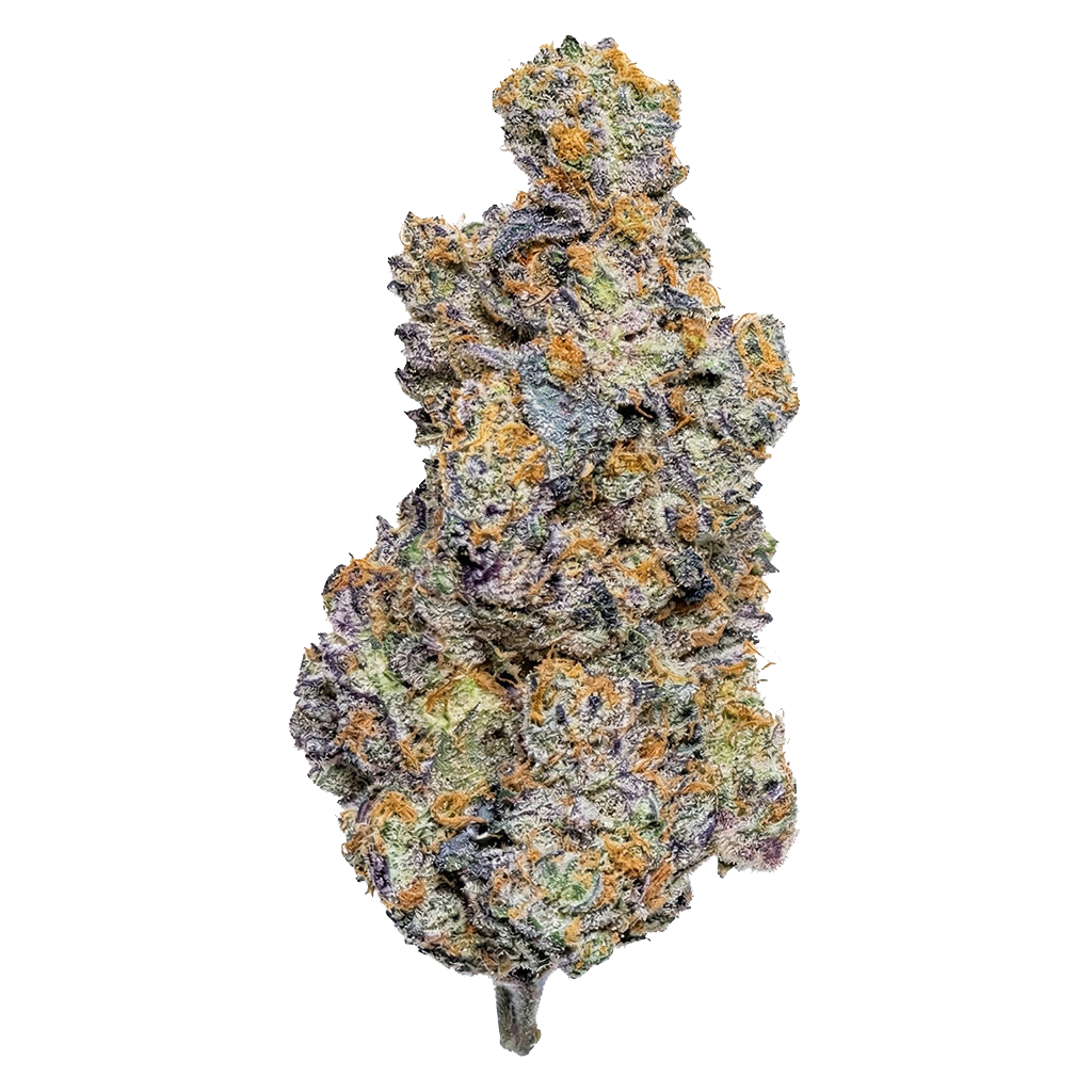 Reptilian Reserve